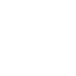 One Team Transparent BG