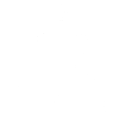 ai feedback