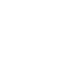 globe scalable mentor icon